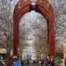 Beijing Eyes 10x TNE Enrollment Growth